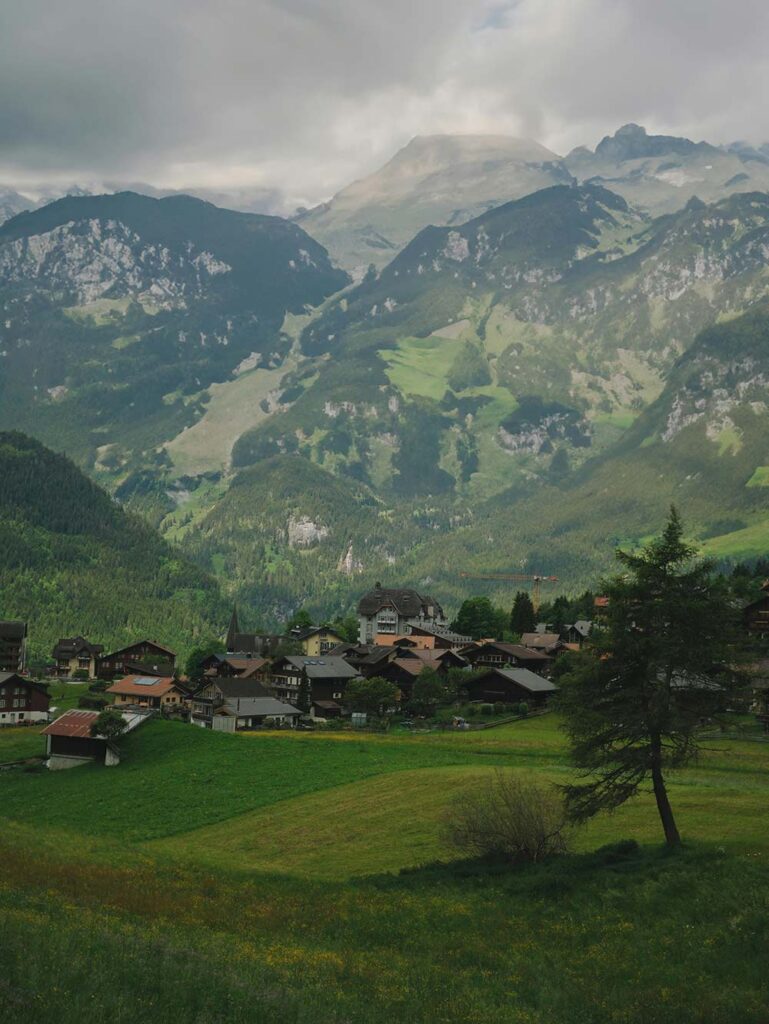 pexels-mlkbnl-28076823